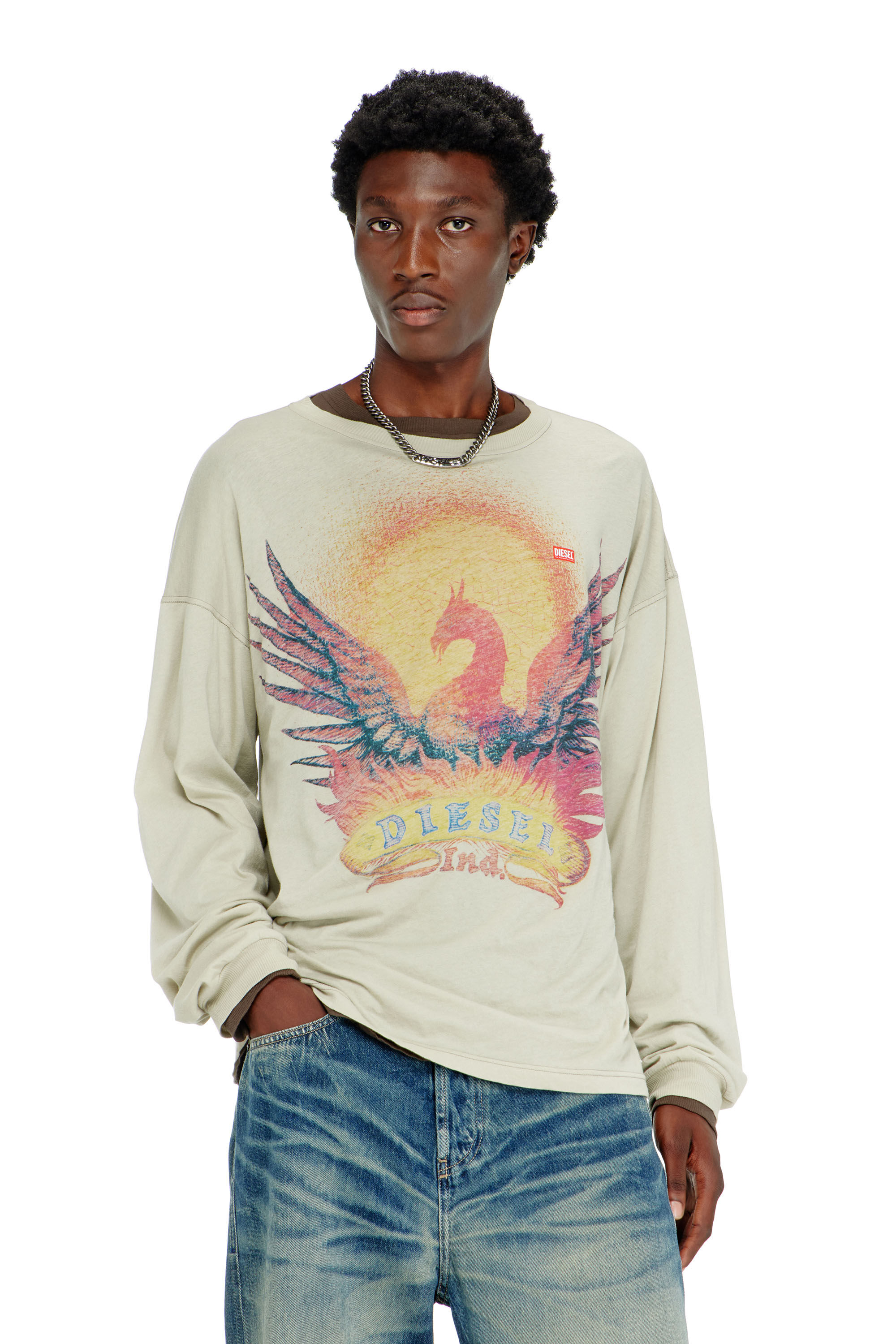Diesel - T-BOXT-LS-AA1, Man's Long sleeve T-shirt with Phoenix graphic in Beige - 3