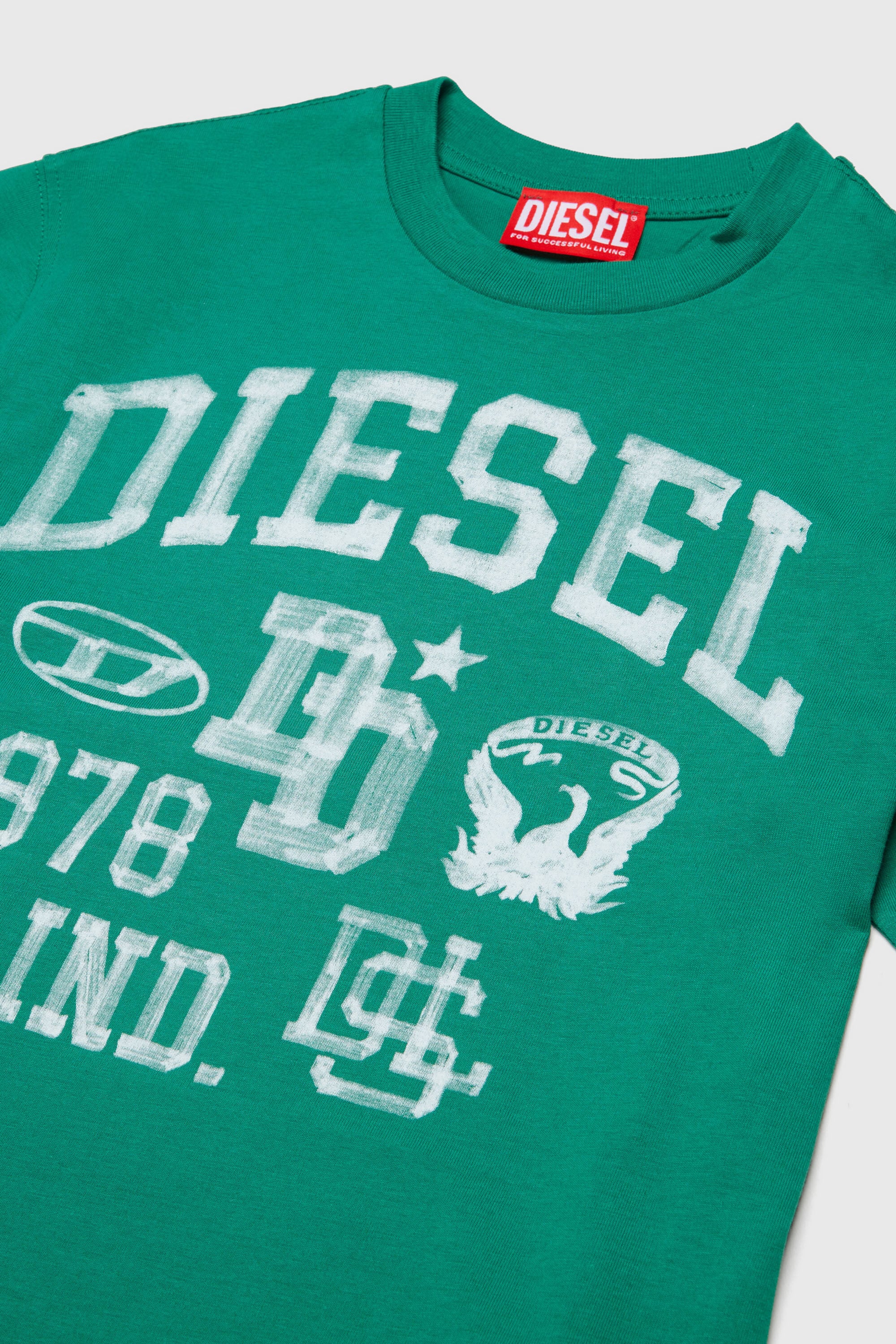 Diesel - TBAND OVER, Man's Cotton T-shirt with varsity graphics in Green - 3