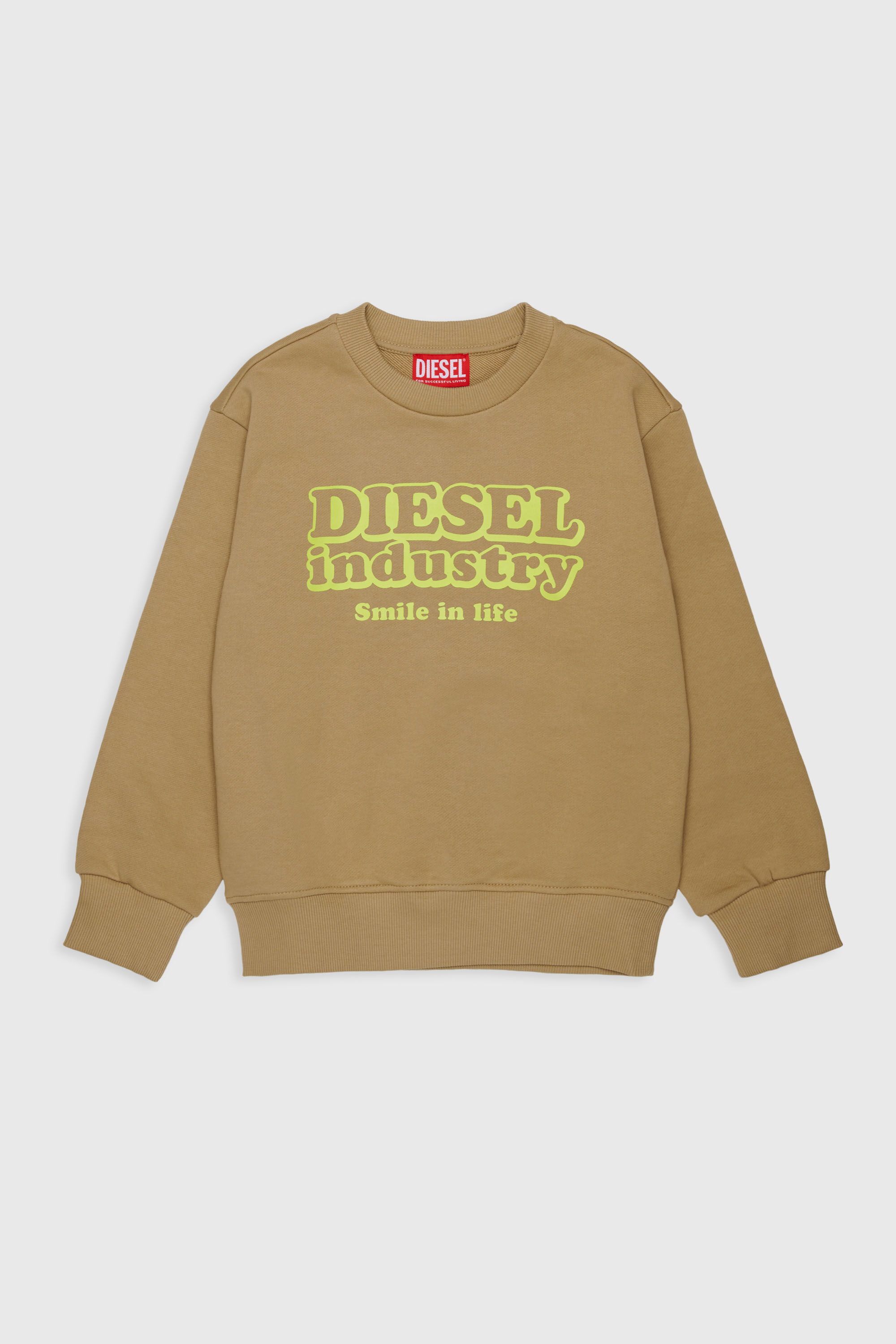 Diesel - SLODIM OVER, Man's Sweatshirt with Diesel Industry print in Brown - 1