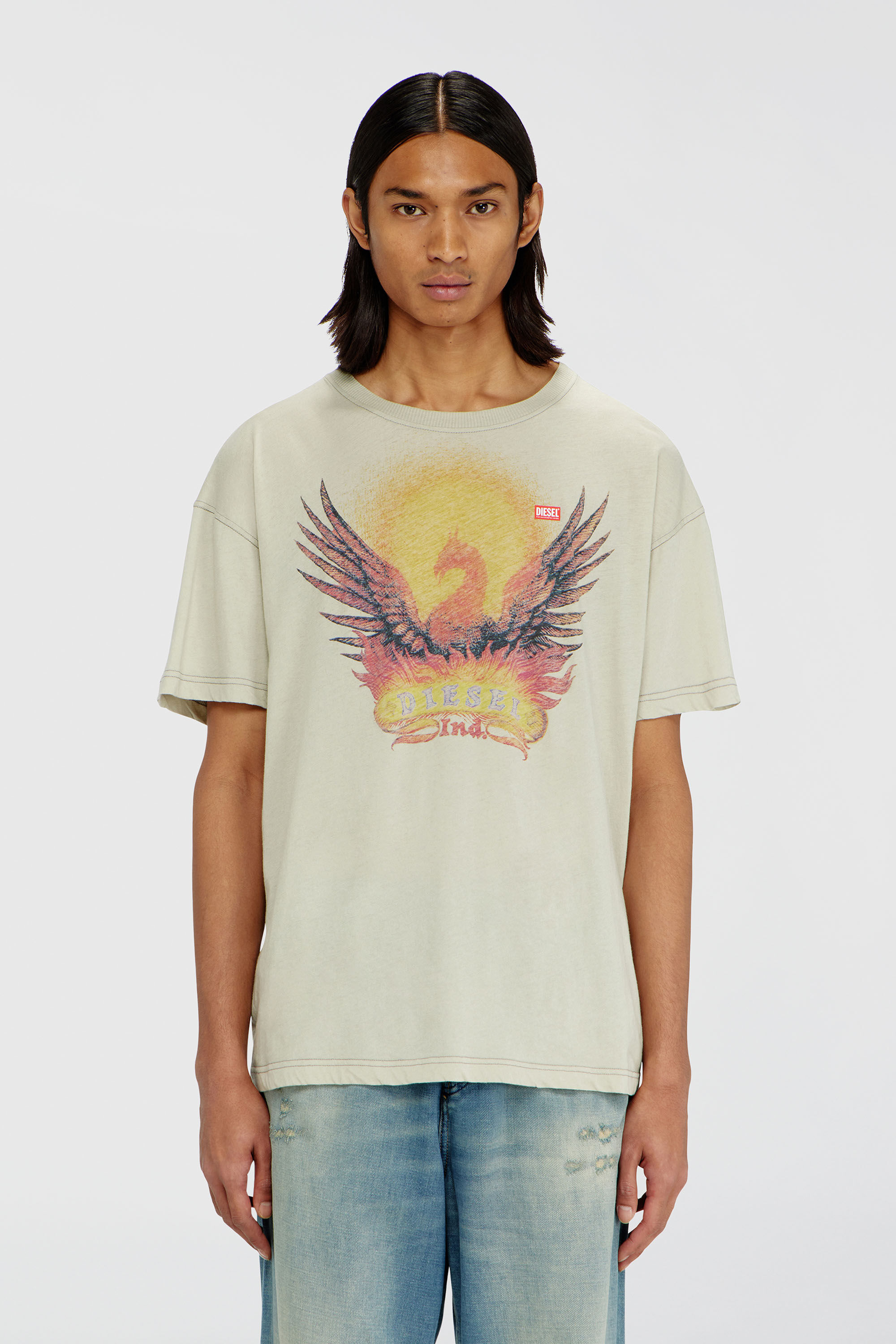 Diesel - T-NORM-AA1, Man's Regular T-shirt with Phoenix print in Beige - 3