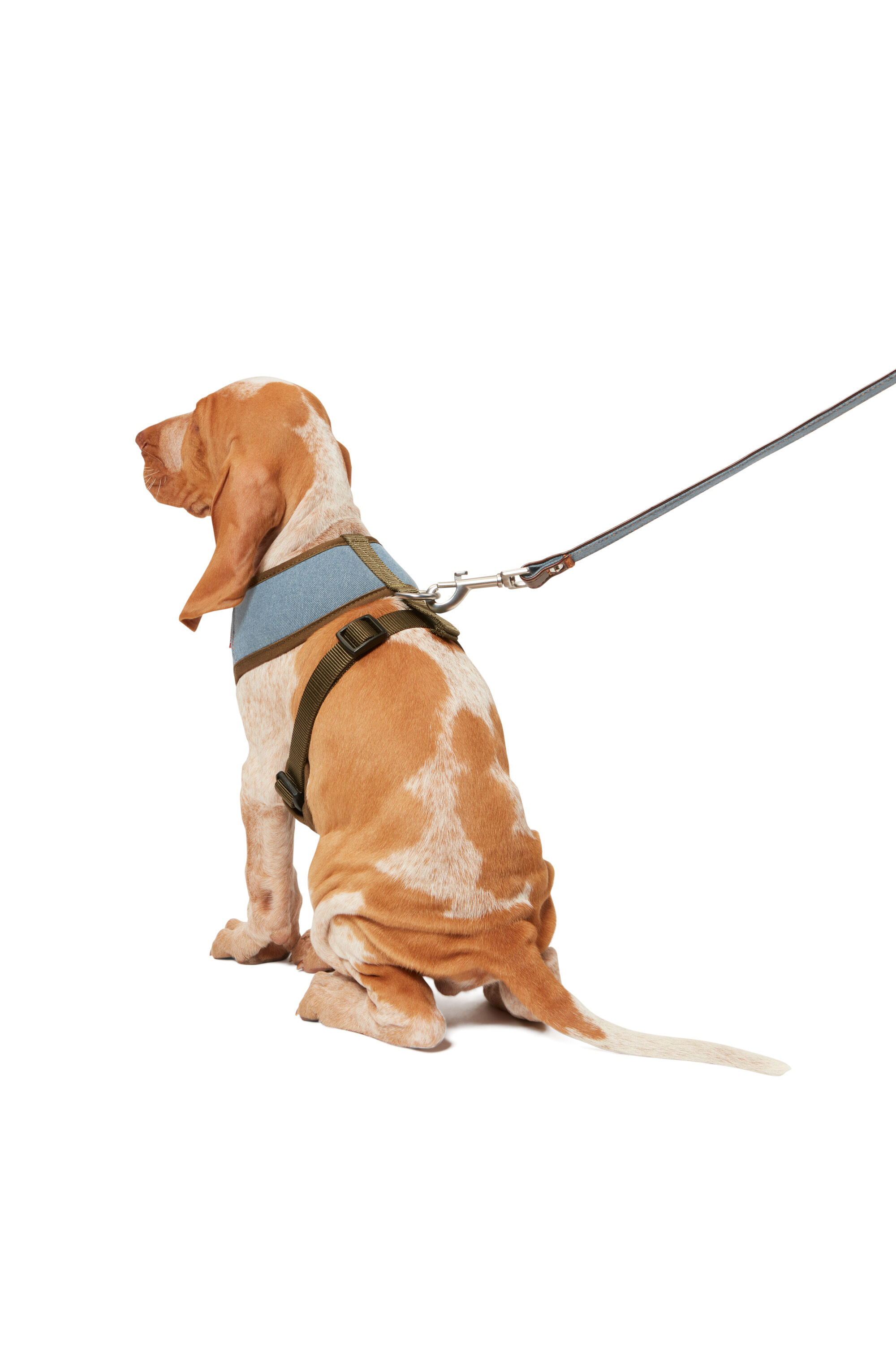 PET LEASH Dog leash in denim and fabric Diesel