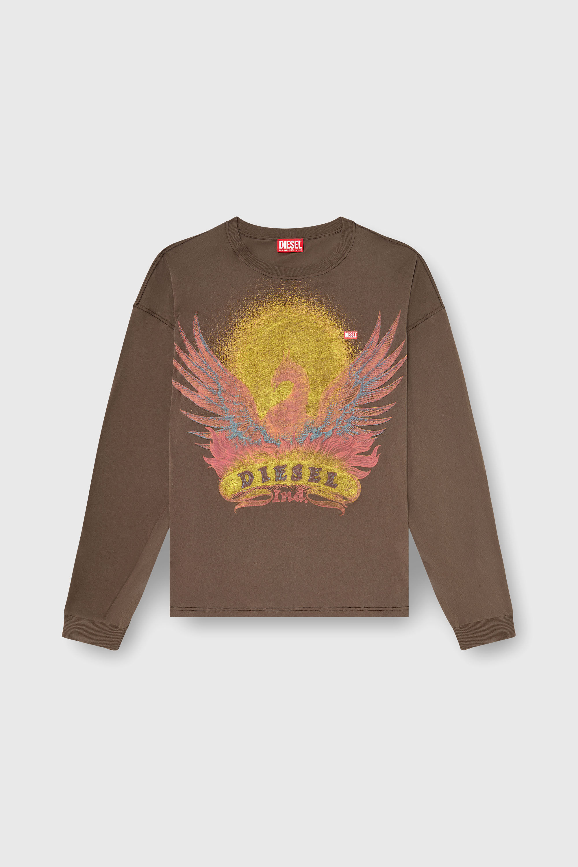Diesel - T-BOXT-LS-AA1, Man's Long sleeve T-shirt with Phoenix graphic in Brown - 2