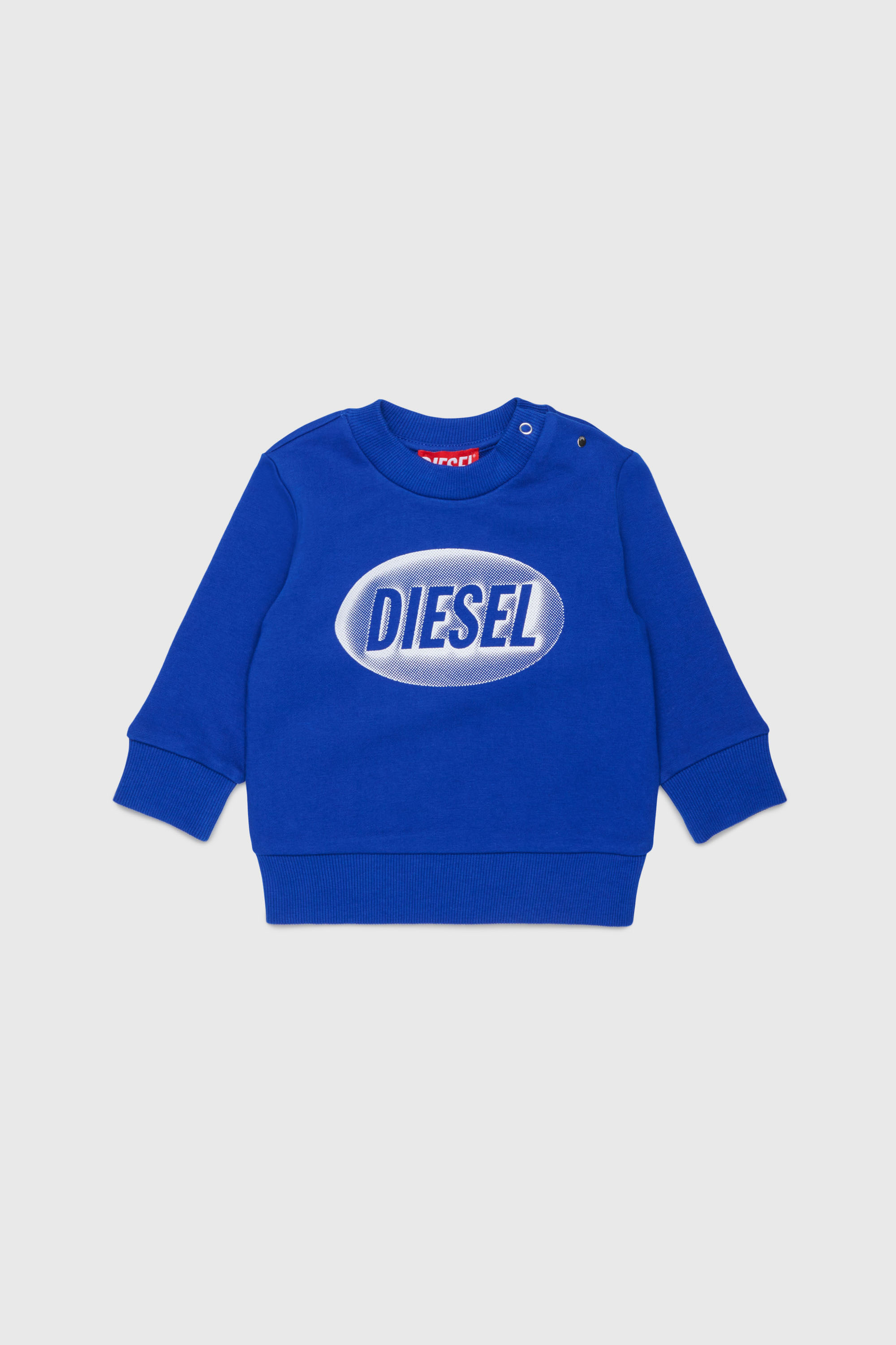 SDSELB