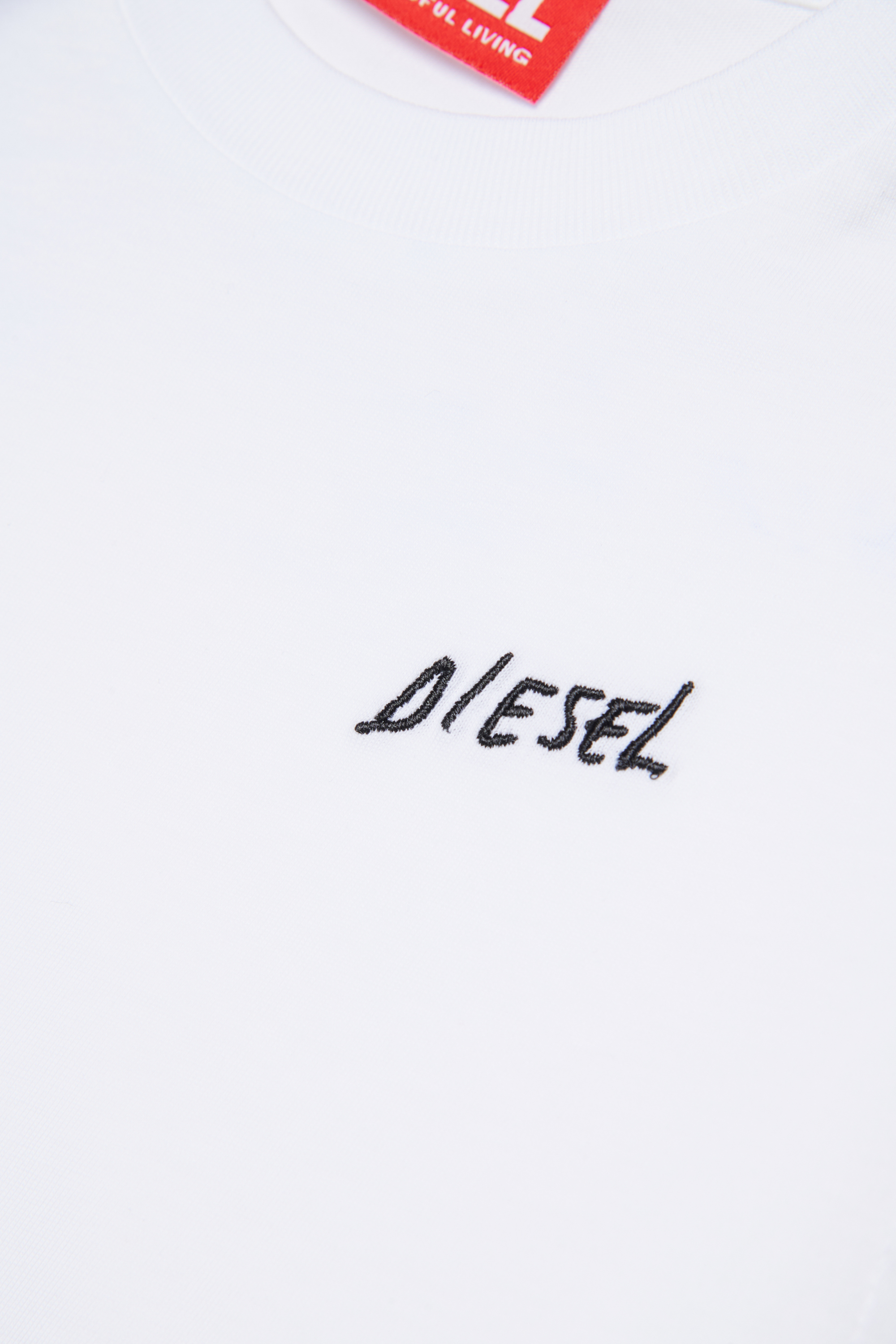 Diesel - TDIEGOSB22LS, Man's Cotton T-shirt with embroidered logo in White - 4
