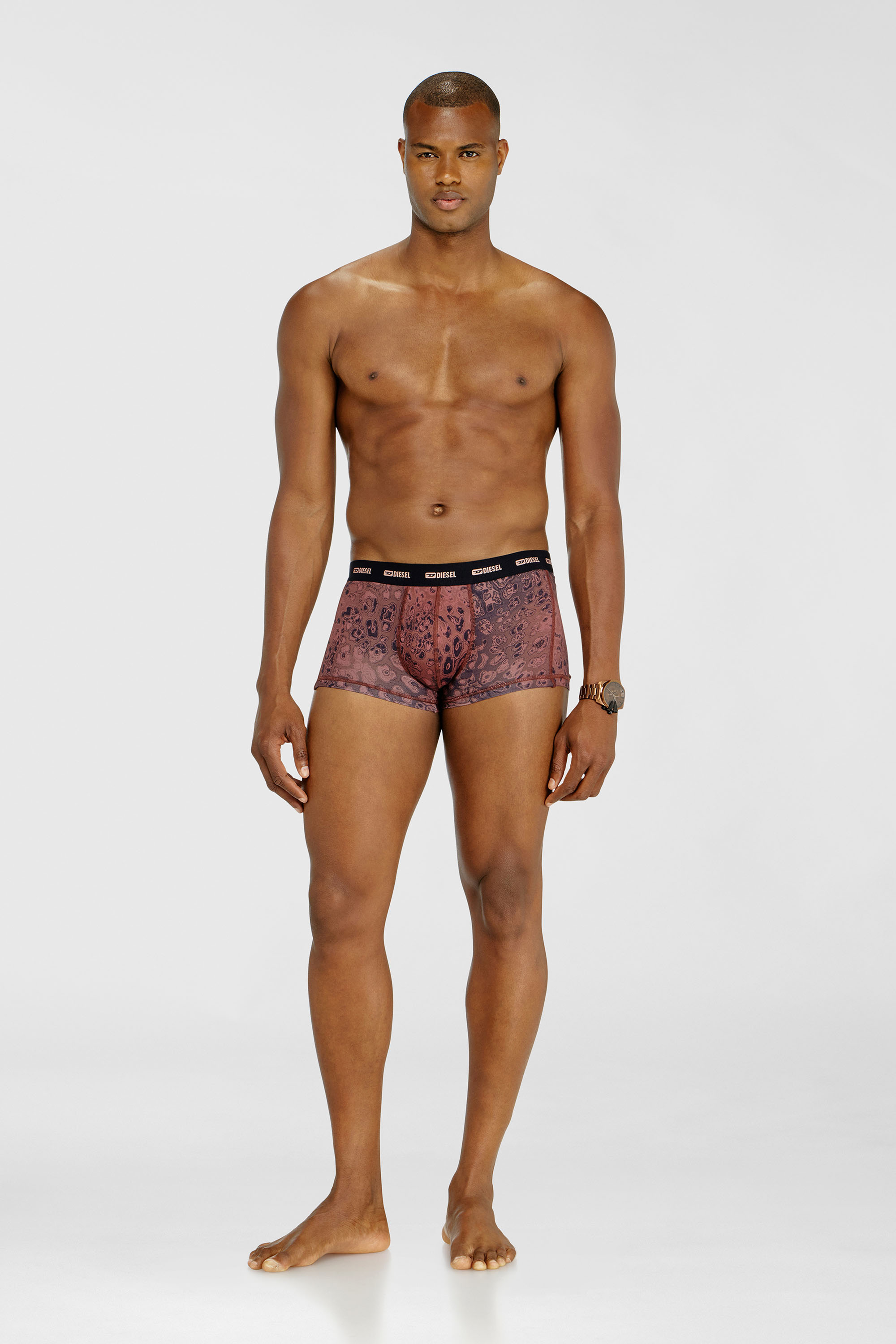 Diesel - DAMIEN-UTLT-3PACK, Man's Three-pack of stretch cotton boxer briefs in Violet - 1