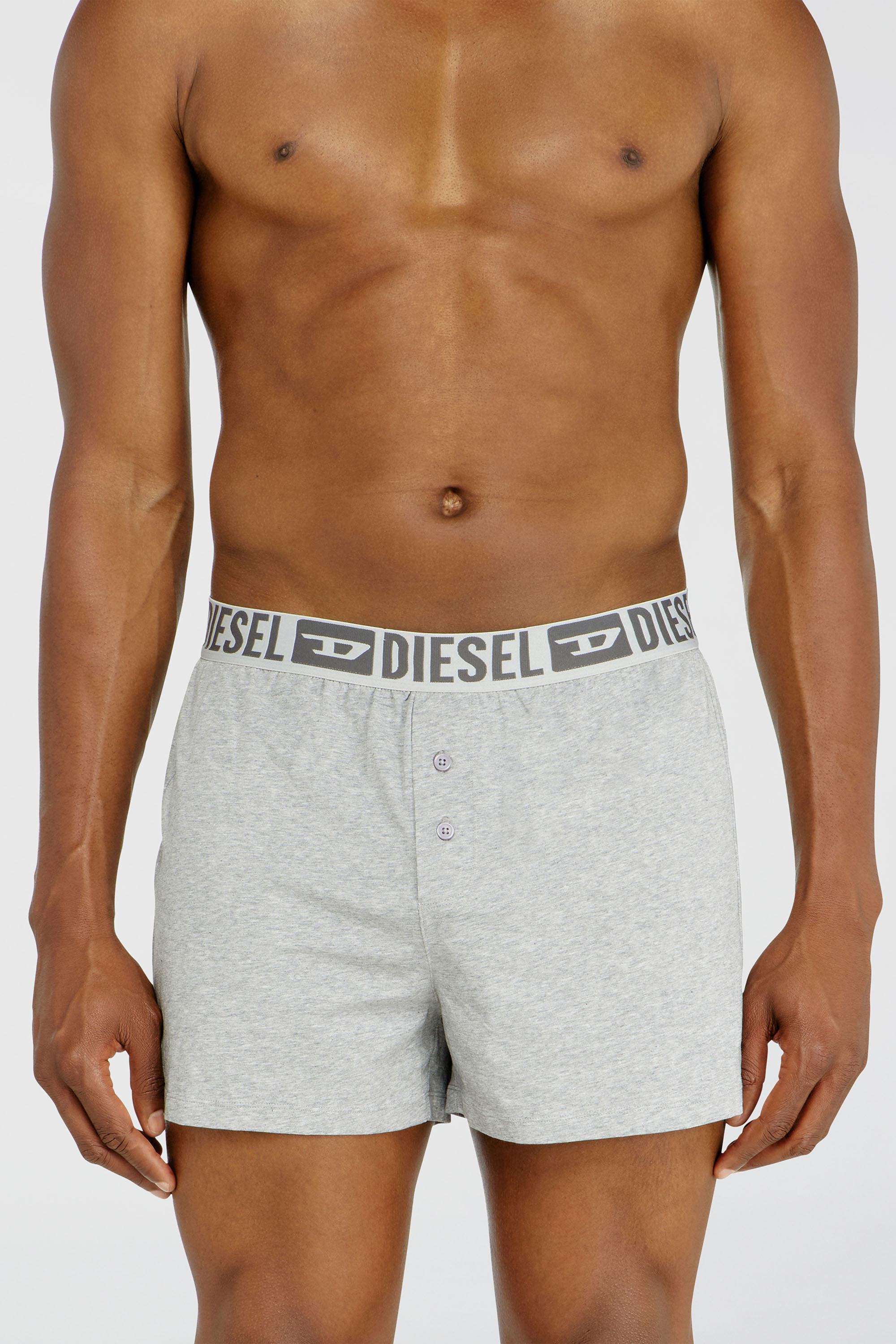 Diesel - STARKIE-D-CORE-2PACK, Man's Two-pack boxer shorts in stretch cotton in Grey - 3