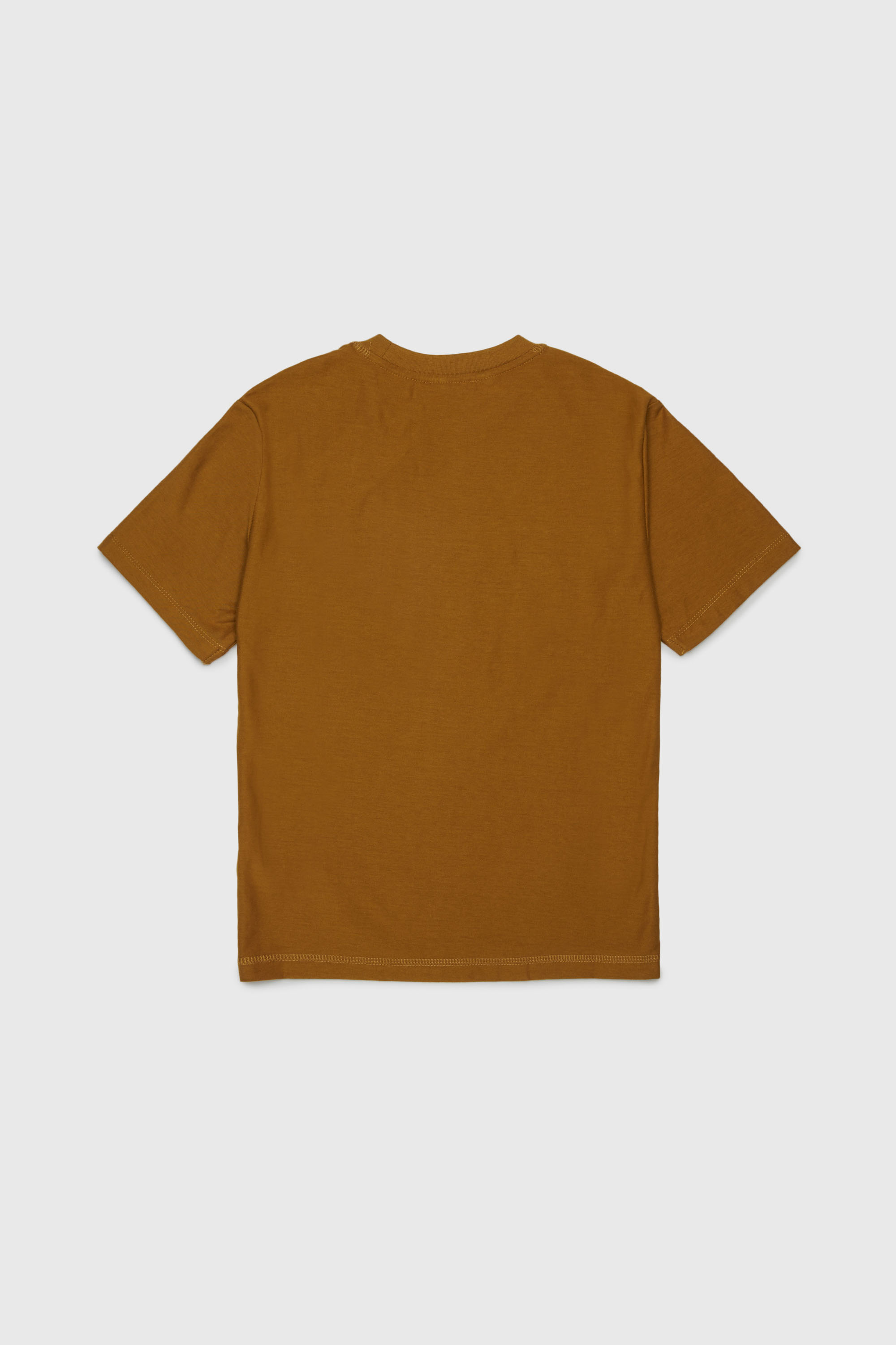 Diesel - TFRIT OVER, Man's T-shirt with Oval D logo and streaky effect in Brown - 2