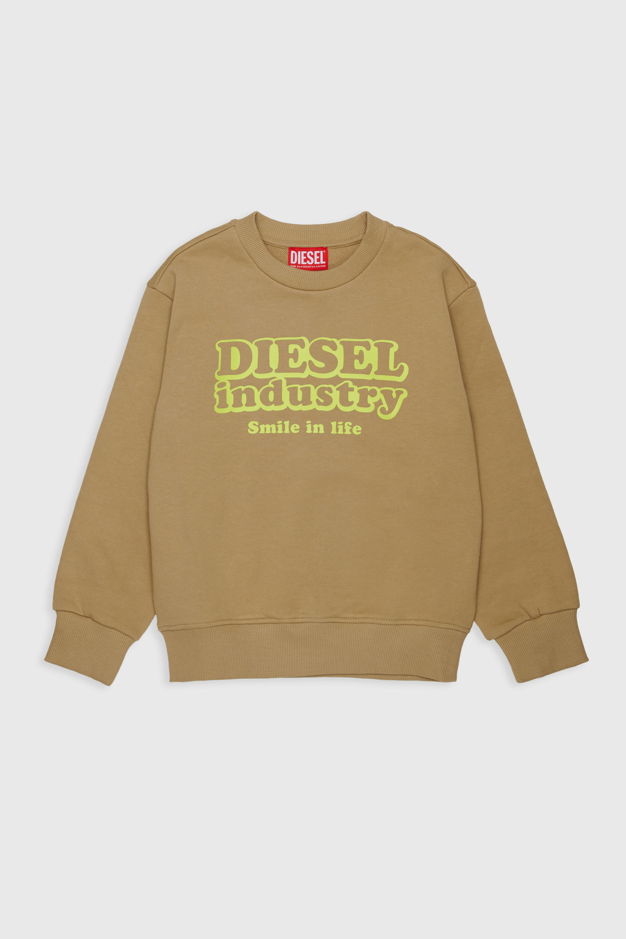 Diesel - SLODIM OVER, Man's Sweatshirt with Diesel Industry print in Brown - 1