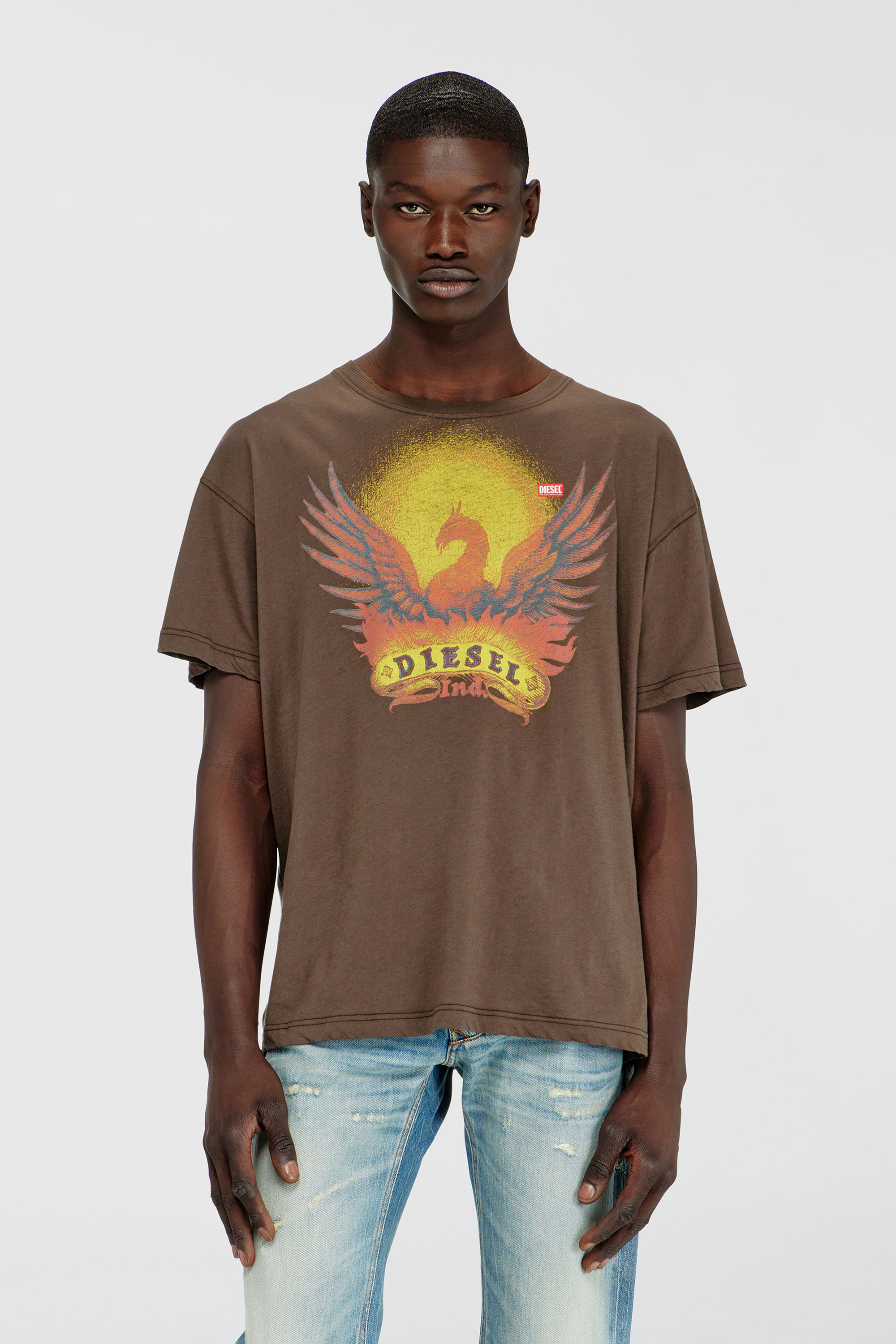 Diesel - T-NORM-AA1, Man's Regular T-shirt with Phoenix print in Brown - 3
