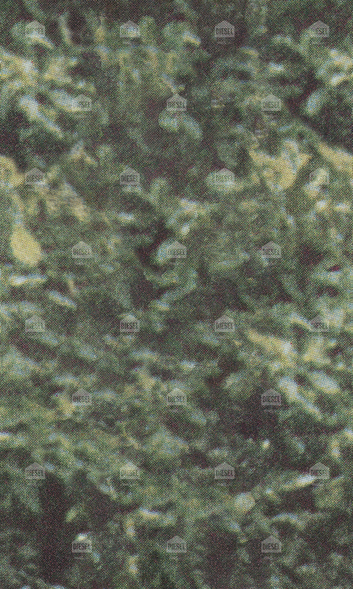 Diesel - FOREST CAMO, ED_DSFC2103 - Image 1